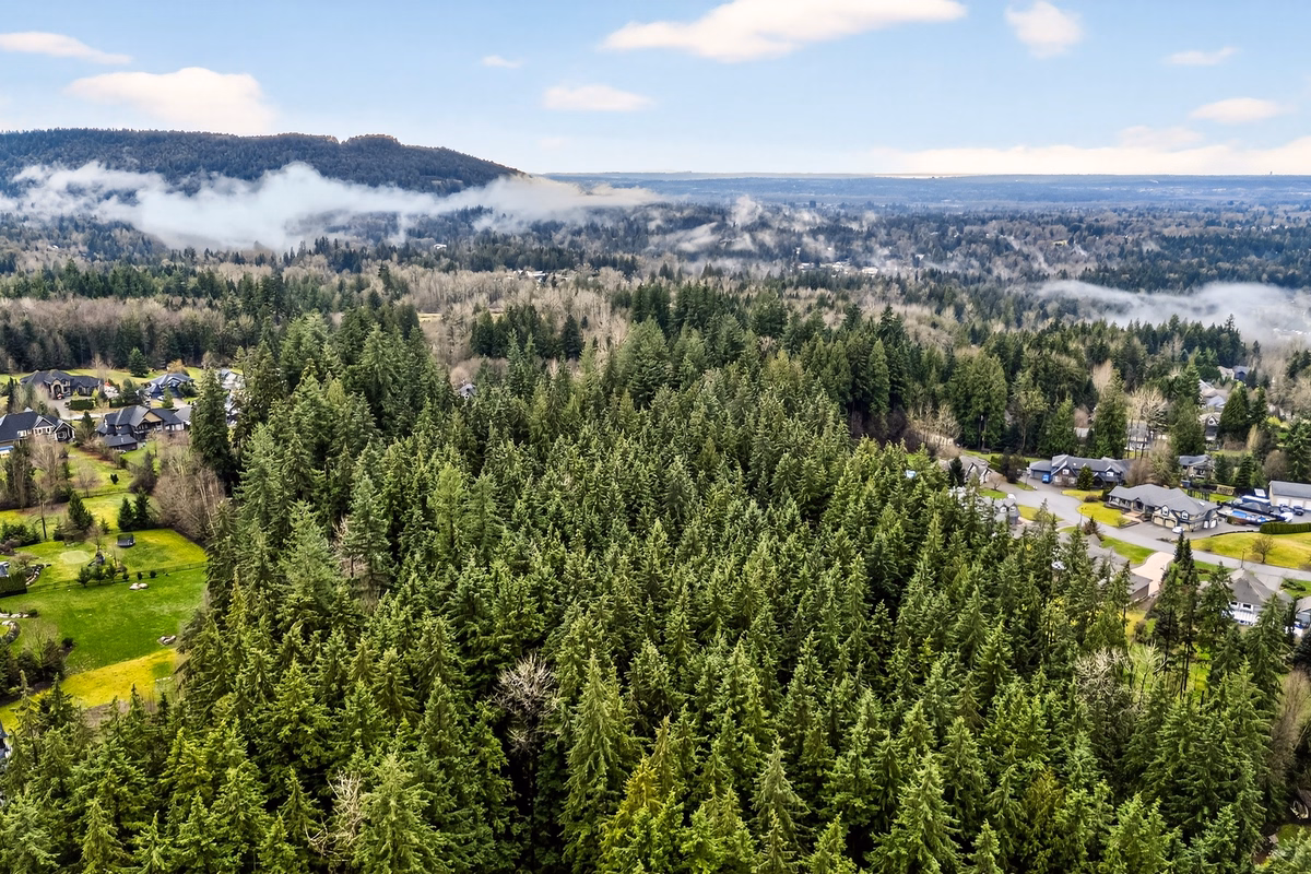 12595 266 STREET photo 79